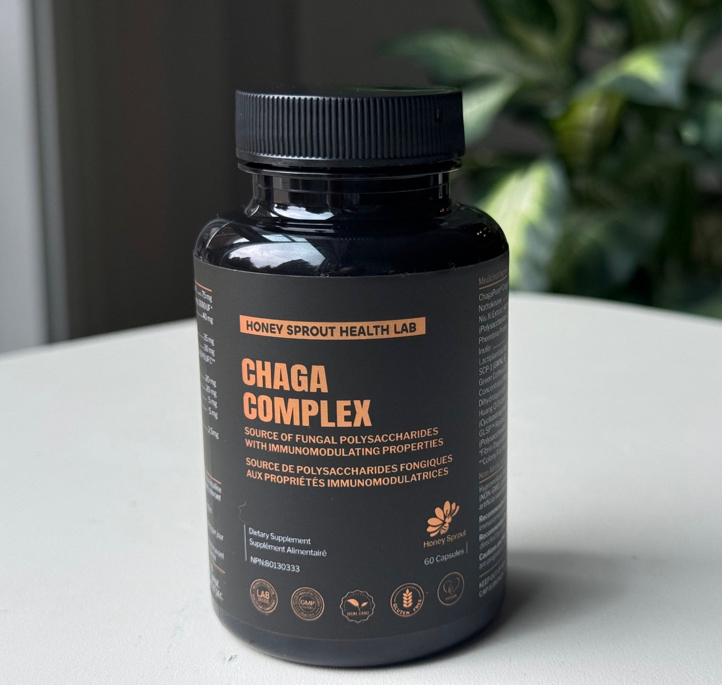 CHAGA COMPLEX